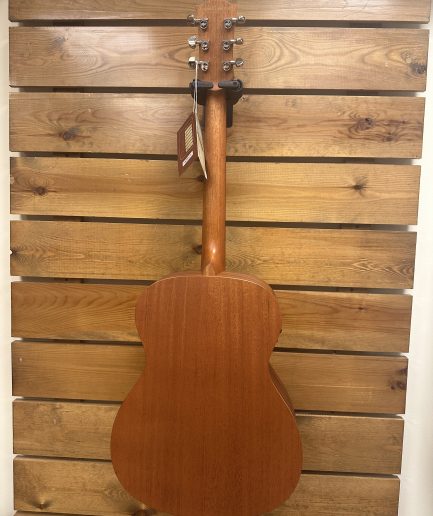 Richwood Acústica Master Series